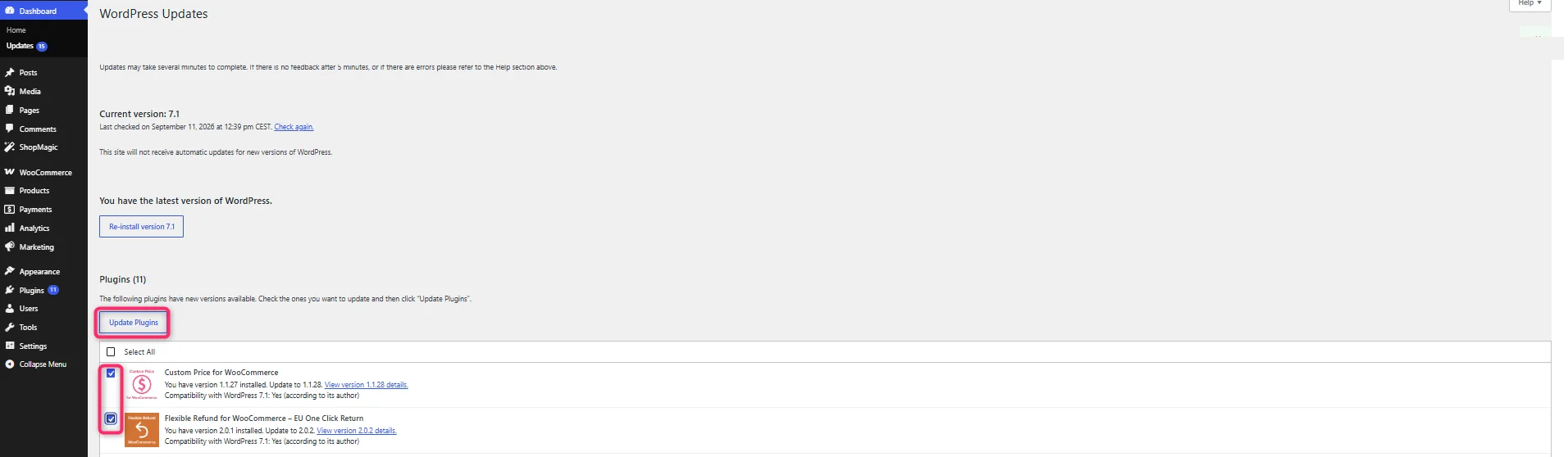 Check again button on the WordPress updates screen