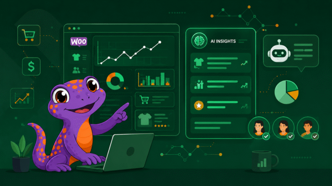 5 Questions About Your WooCommerce Sales